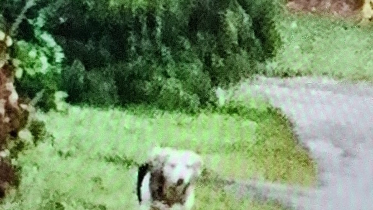 POL-ROW: ++ Vermisster Klaus Renken aus Lauenbrück: Intensive Suchmaßnahmen bleiben bislang ohne Erfolg ++ - Foto: presseportal.de