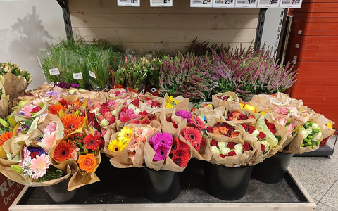 Blumen (Archiv) - Foto: über dts Nachrichtenagentur