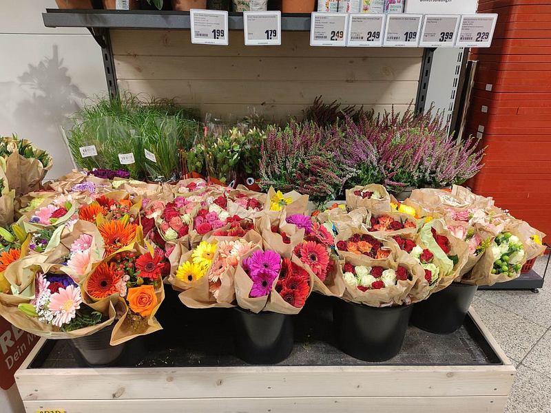 Blumen (Archiv) - Foto: über dts Nachrichtenagentur