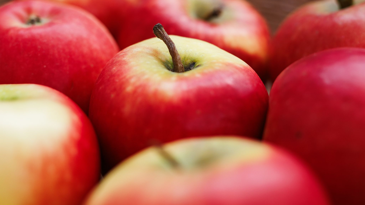 Bislang wurden rund 200.000 Apfelbäume gepflanzt. - Foto: Lässig/Ecarf/dpa