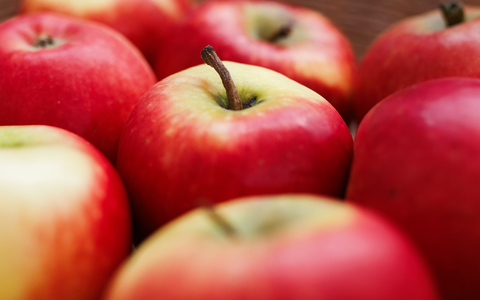 Bislang wurden rund 200.000 Apfelbäume gepflanzt. - Foto: Lässig/Ecarf/dpa