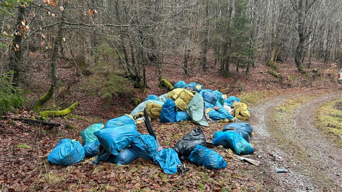 POL-PDWIL: Umweltgefährdende Abfallbeseitigung im Wald - Foto: presseportal.de