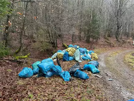 POL-PDWIL: Umweltgefährdende Abfallbeseitigung im Wald - Foto: presseportal.de