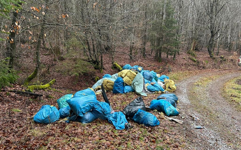 POL-PDWIL: Umweltgefährdende Abfallbeseitigung im Wald - Foto: presseportal.de