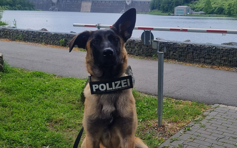 POL-SO: Zuwachs für die Polizei im Kreis Soest - Foto: presseportal.de