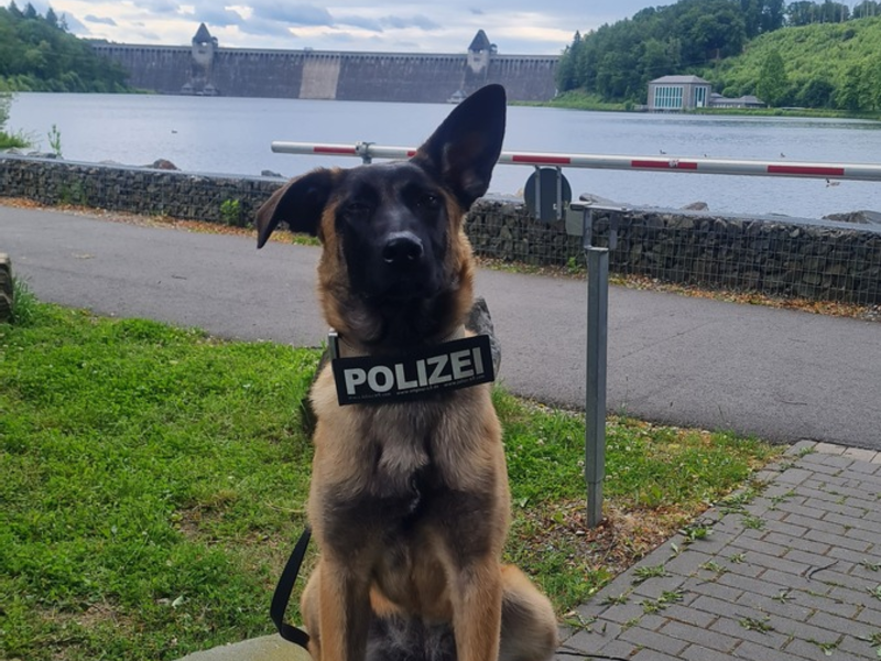 POL-SO: Zuwachs für die Polizei im Kreis Soest - Foto: presseportal.de