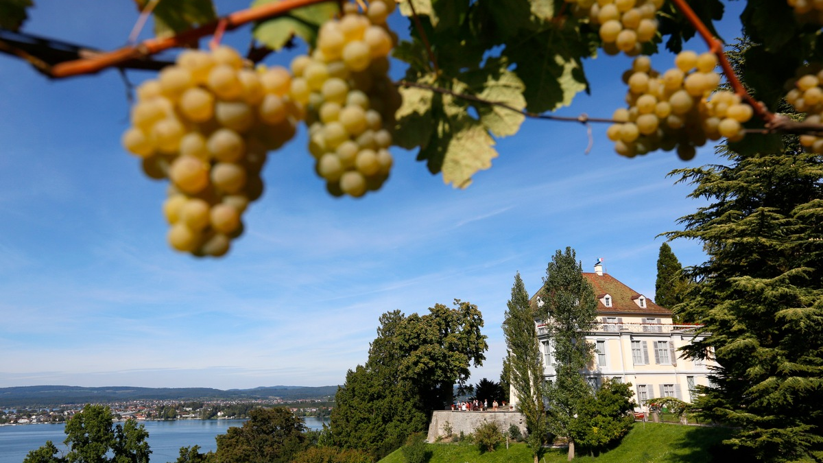 Bodensee 2025: Ein Jahr voller Highlights - Foto: presseportal.de