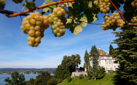 Bodensee 2025: Ein Jahr voller Highlights - Foto: presseportal.de