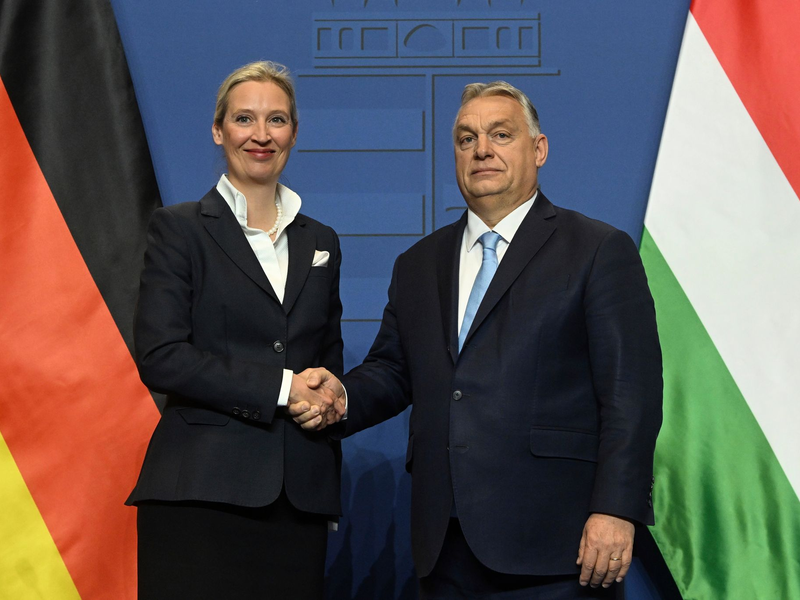 AfD-Chefin Alice Weidel und der ungarische Ministerpräsident, Viktor Orban, trafen sich im Februar in Budapest. (Archivfoto) - Foto: Szilard Koszticsak/MTI/AP/dpa