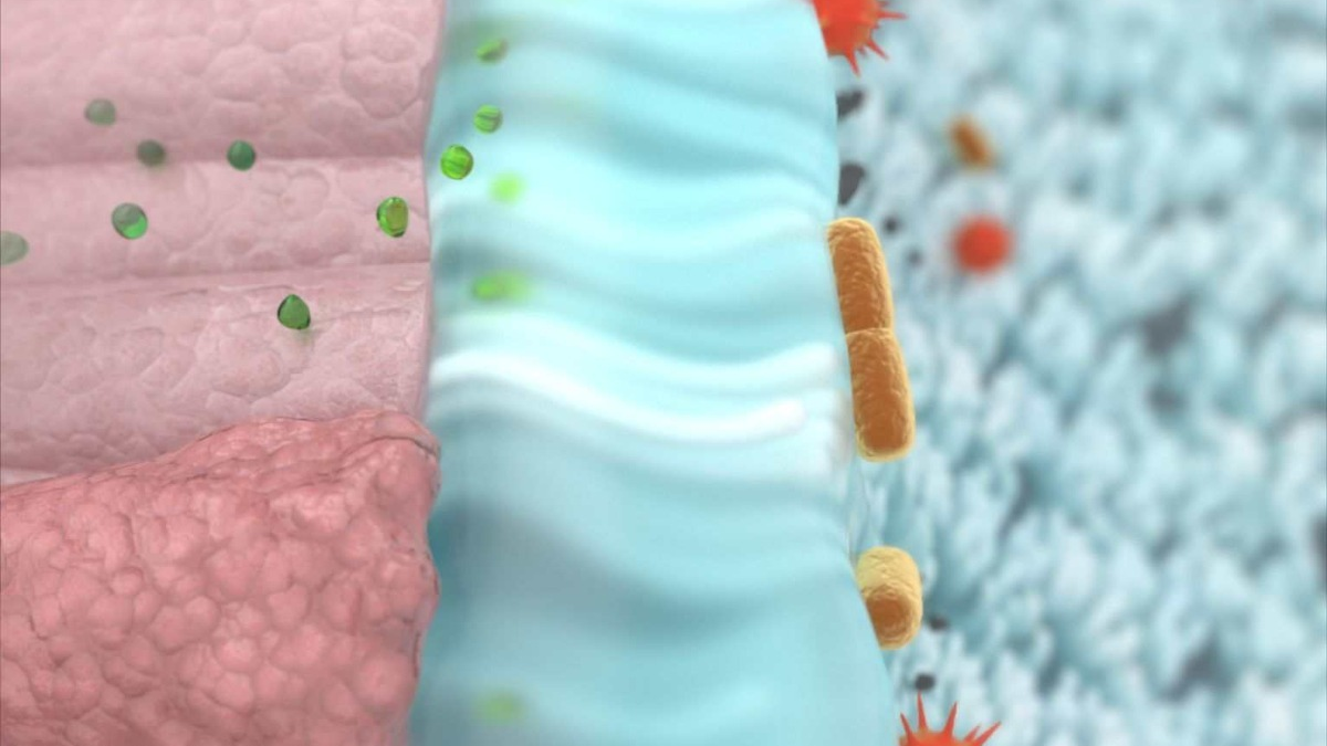 ELOM-080 in der ambulanten Behandlung von COVID-19 / Ergebnisse der COVARI-2-Studie publiziert - Foto: presseportal.de