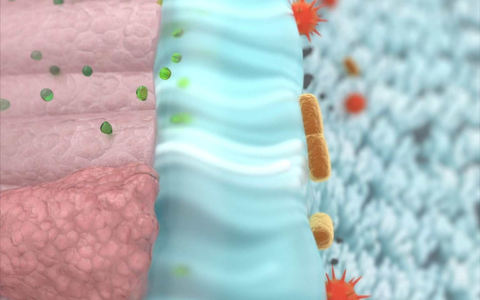ELOM-080 in der ambulanten Behandlung von COVID-19 / Ergebnisse der COVARI-2-Studie publiziert - Foto: presseportal.de ELOM-080 in der ambulanten Behandlung von COVID-19 / Ergebnisse der COVARI-2-Studie publiziert - Foto: presseportal.de