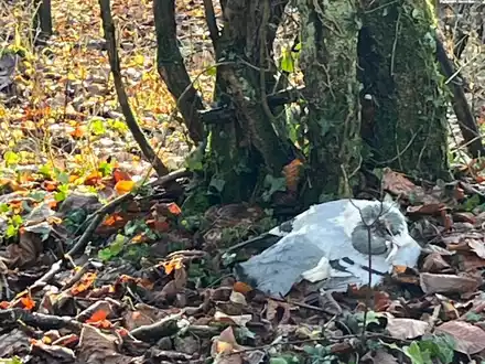 POL-HL: Ostholstein - Süsel / Verendete Tauben am Straßenrand aufgefunden - Zeugen gesucht - Foto: presseportal.de