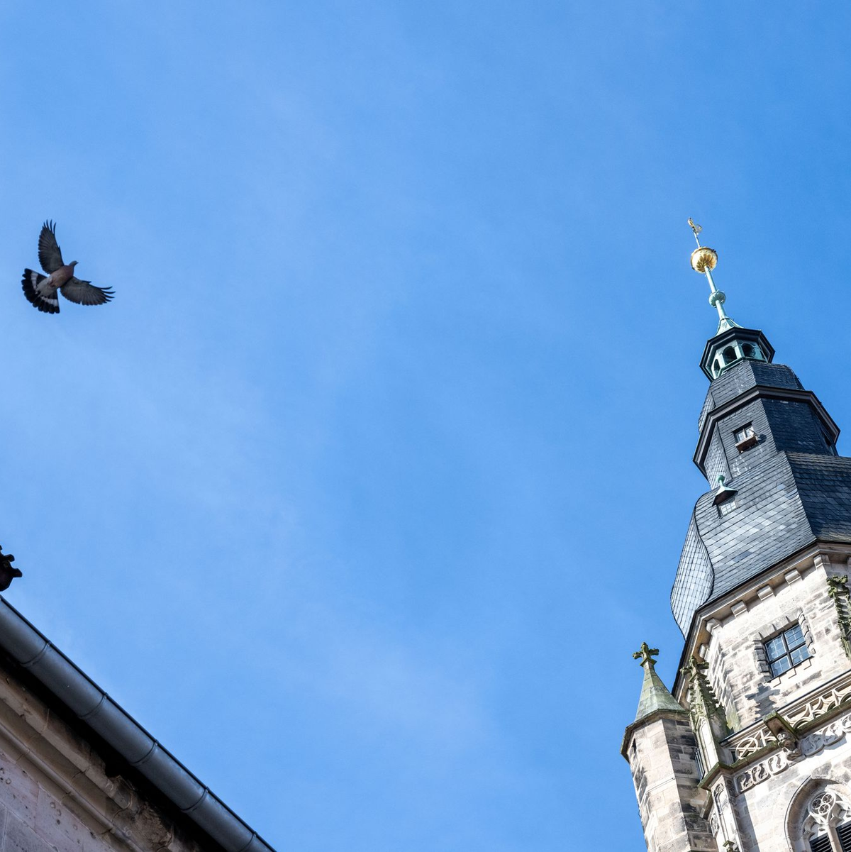 Bayern ohne Kirchtürme? Nicht vorstellbar. (Symbolbild) - Foto: Pia Bayer/dpa