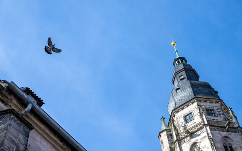 Bayern ohne Kirchtürme? Nicht vorstellbar. (Symbolbild) - Foto: Pia Bayer/dpa