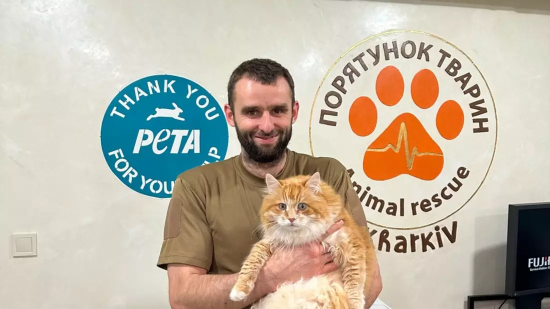 3 Jahre Tierleid und Not in der Ukraine - PETA zieht Bilanz und appelliert an die Herzen der Menschen: 22.000 Rettungen, 1.700 Tonnen Nahrung, 2.000 sichere Plätze, 130 Tiere täglich in der Klinik - Bild: presseportal.de