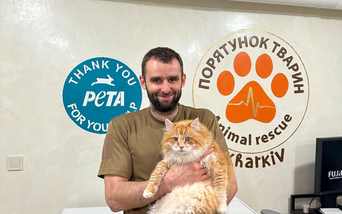 3 Jahre Tierleid und Not in der Ukraine - PETA zieht Bilanz und appelliert an die Herzen der Menschen: 22.000 Rettungen, 1.700 Tonnen Nahrung, 2.000 sichere Plätze, 130 Tiere täglich in der Klinik - Foto: presseportal.de