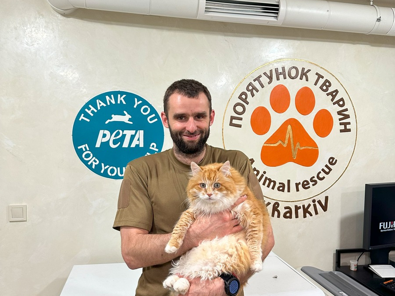 3 Jahre Tierleid und Not in der Ukraine - PETA zieht Bilanz und appelliert an die Herzen der Menschen: 22.000 Rettungen, 1.700 Tonnen Nahrung, 2.000 sichere Plätze, 130 Tiere täglich in der Klinik - Foto: presseportal.de