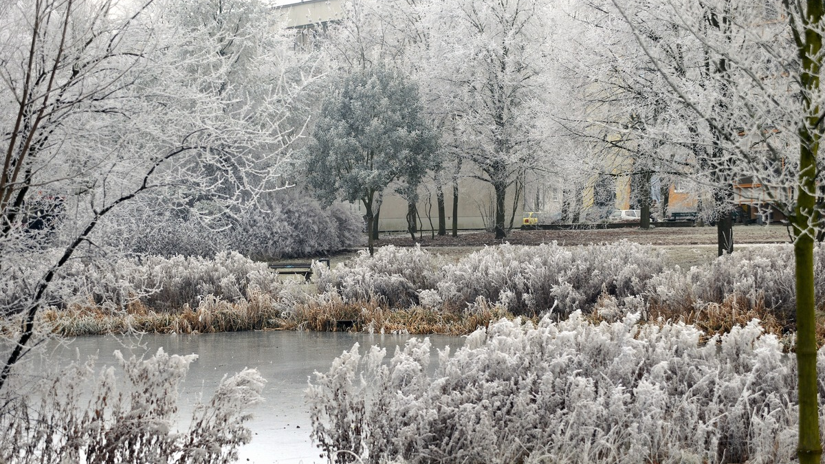 Feuerwehr Rostock: Lebensgefahr: Eisflächen dürfen nicht betreten werden - Foto: presseportal.de
