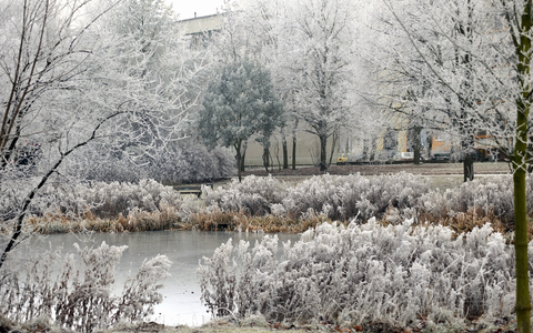 Feuerwehr Rostock: Lebensgefahr: Eisflächen dürfen nicht betreten werden - Foto: presseportal.de