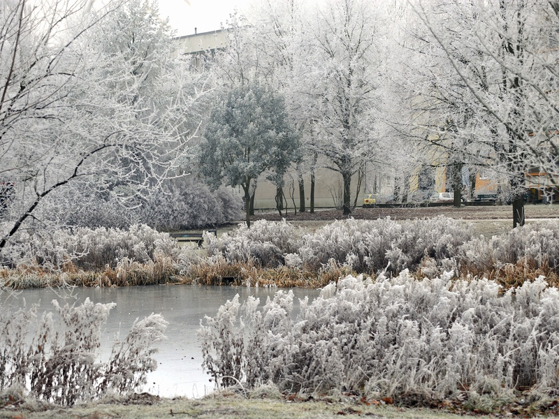Feuerwehr Rostock: Lebensgefahr: Eisflächen dürfen nicht betreten werden - Foto: presseportal.de