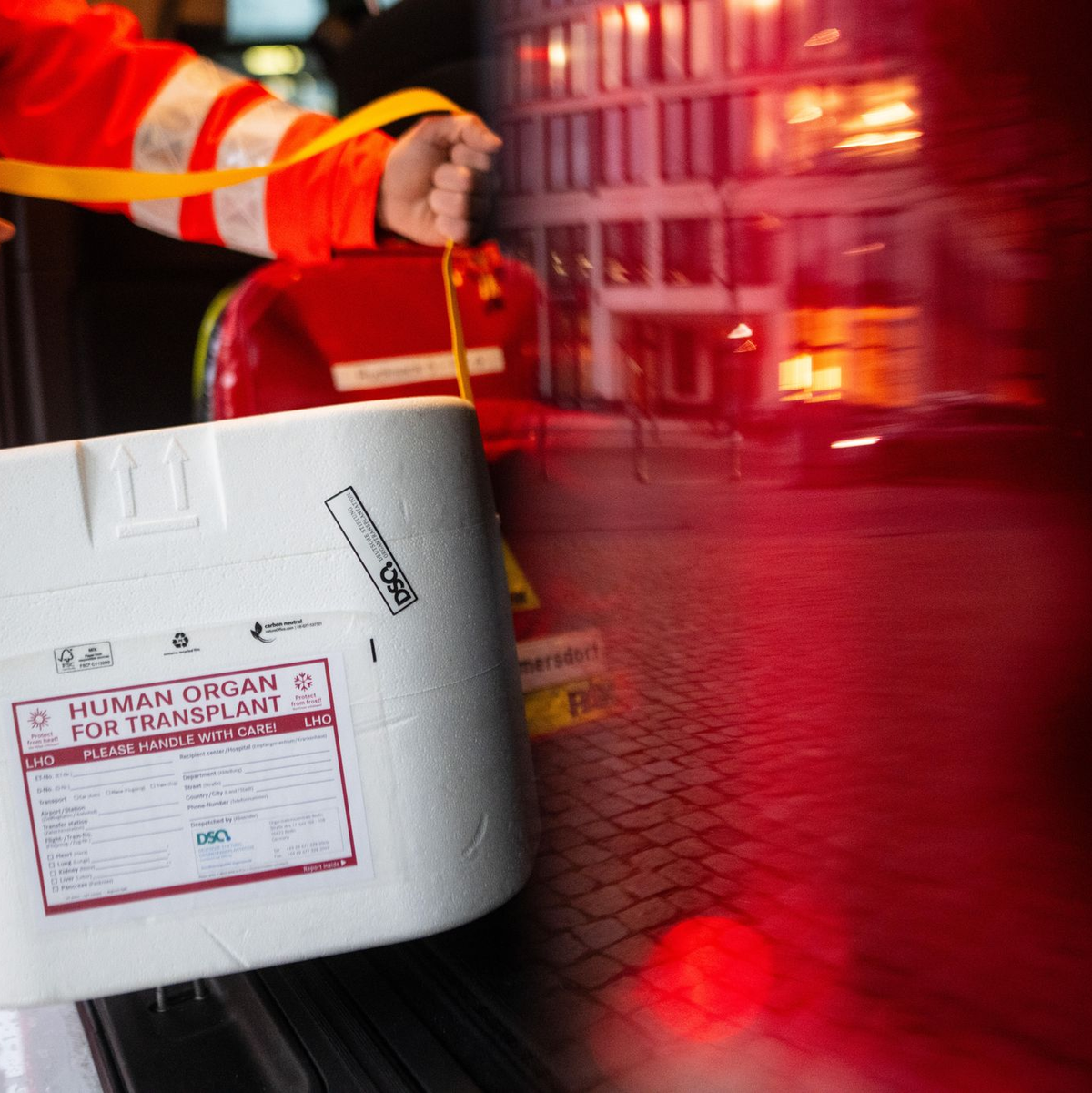 Wer ein menschliches Organ erhält, dessen Überlebenswahrscheinlichkeit liegt bei 10, 15 oder gar 20 Jahren. (Illustration) - Foto: Sebastian Gollnow/dpa