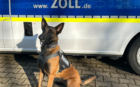 HZA-DU: Zollhund Frieda findet Drogenversteck im Auto - Über ein Kilogramm Kokain sichergestellt - Foto: presseportal.de