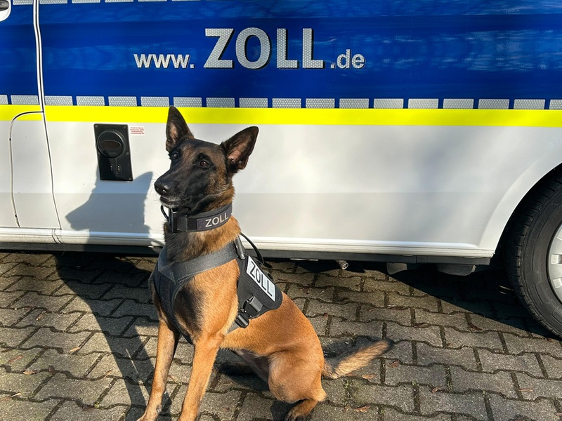 HZA-DU: Zollhund Frieda findet Drogenversteck im Auto - Über ein Kilogramm Kokain sichergestellt - Foto: presseportal.de