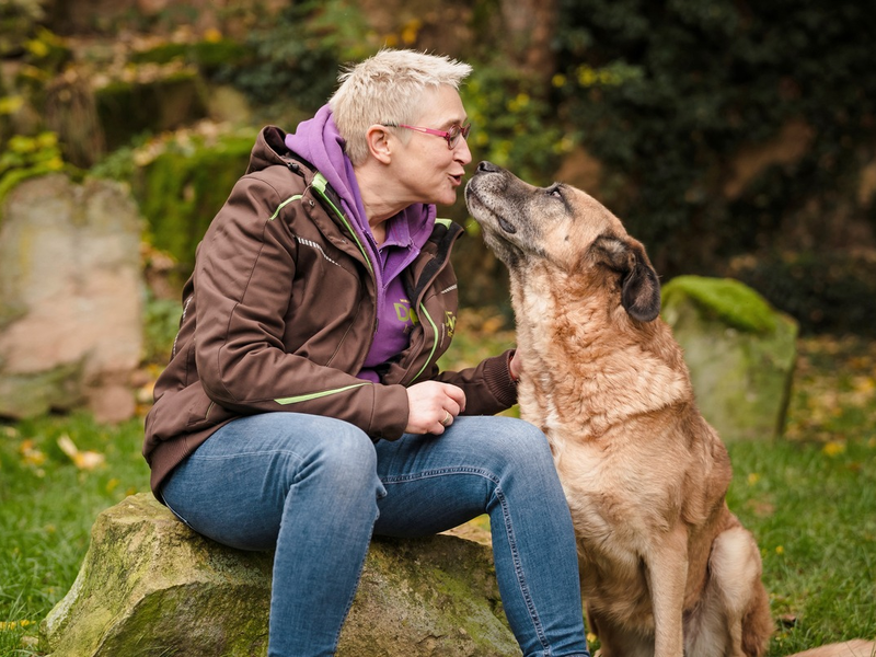 Statt Rosen am Valentinstag bedingungslose Liebe mit dem Hund das ganze Jahr - Foto: presseportal.de