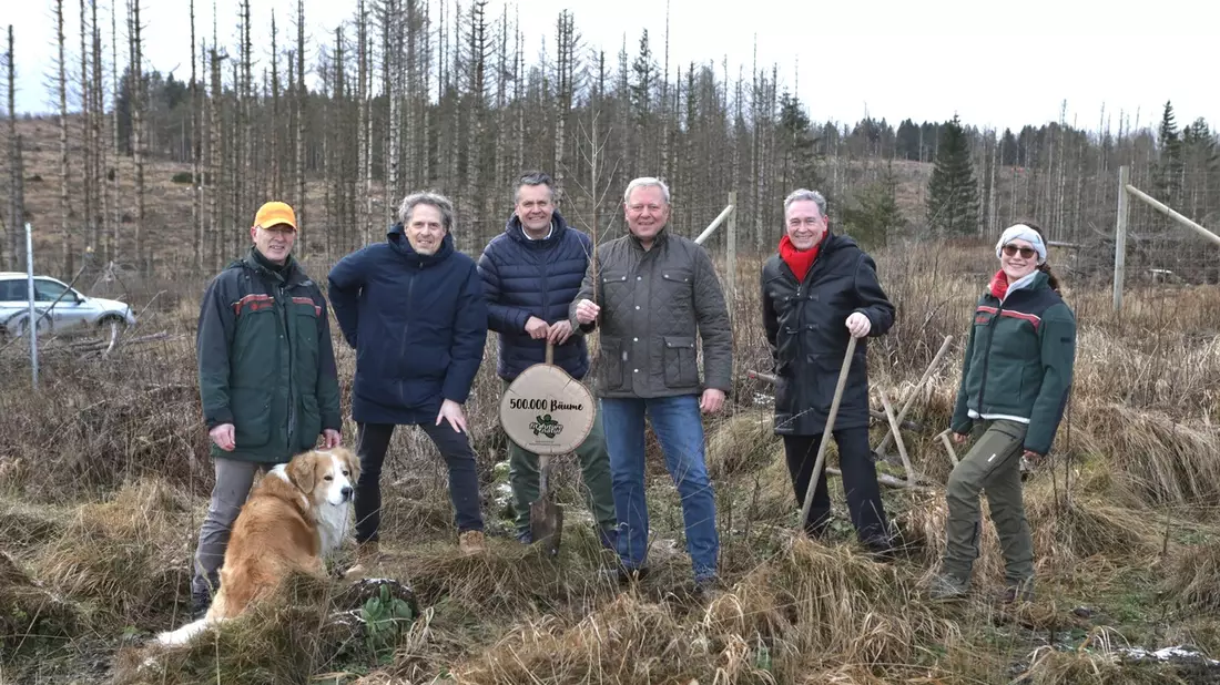 fit4future natur pflanzt 500.000-sten Baum / Wald muss als wertvoller Lebensraum und Klimaschützer für zukünftige Generationen erhalten werden - Bild: presseportal.de