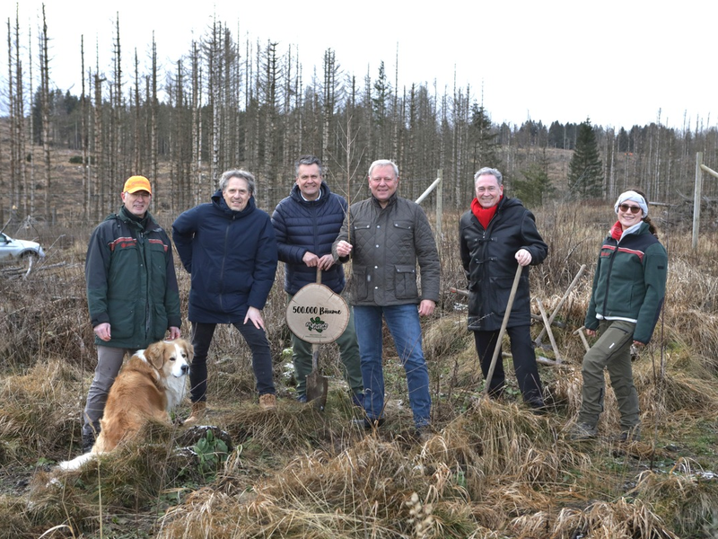 fit4future natur pflanzt 500.000-sten Baum / Wald muss als wertvoller Lebensraum und Klimaschützer für zukünftige Generationen erhalten werden - Foto: presseportal.de