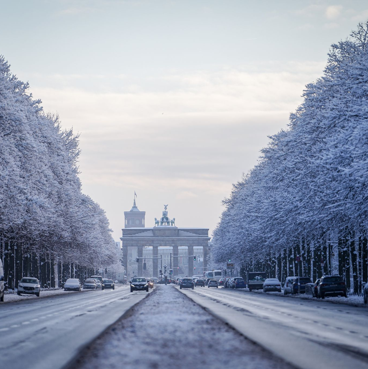 Verschneite Bäume glitzerten im Tiergarten. - Foto: Kay Nietfeld/dpa