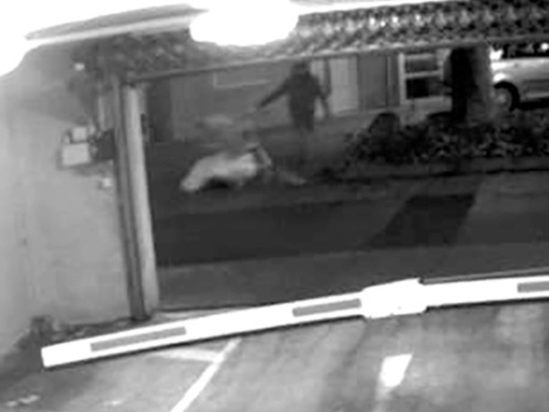 POL-PPWP: Fall Diana Bodi bei ARD Brisant - Foto: presseportal.de