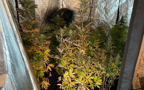 POL-SU: 44-jährige Frau wegen mutmaßlichen Drogenhandels festgenommen - Foto: presseportal.de