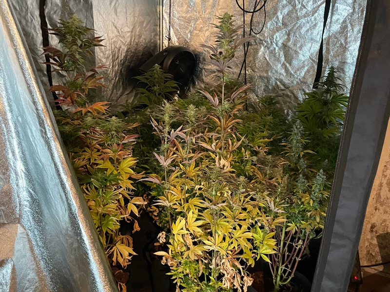 POL-SU: 44-jährige Frau wegen mutmaßlichen Drogenhandels festgenommen - Foto: presseportal.de