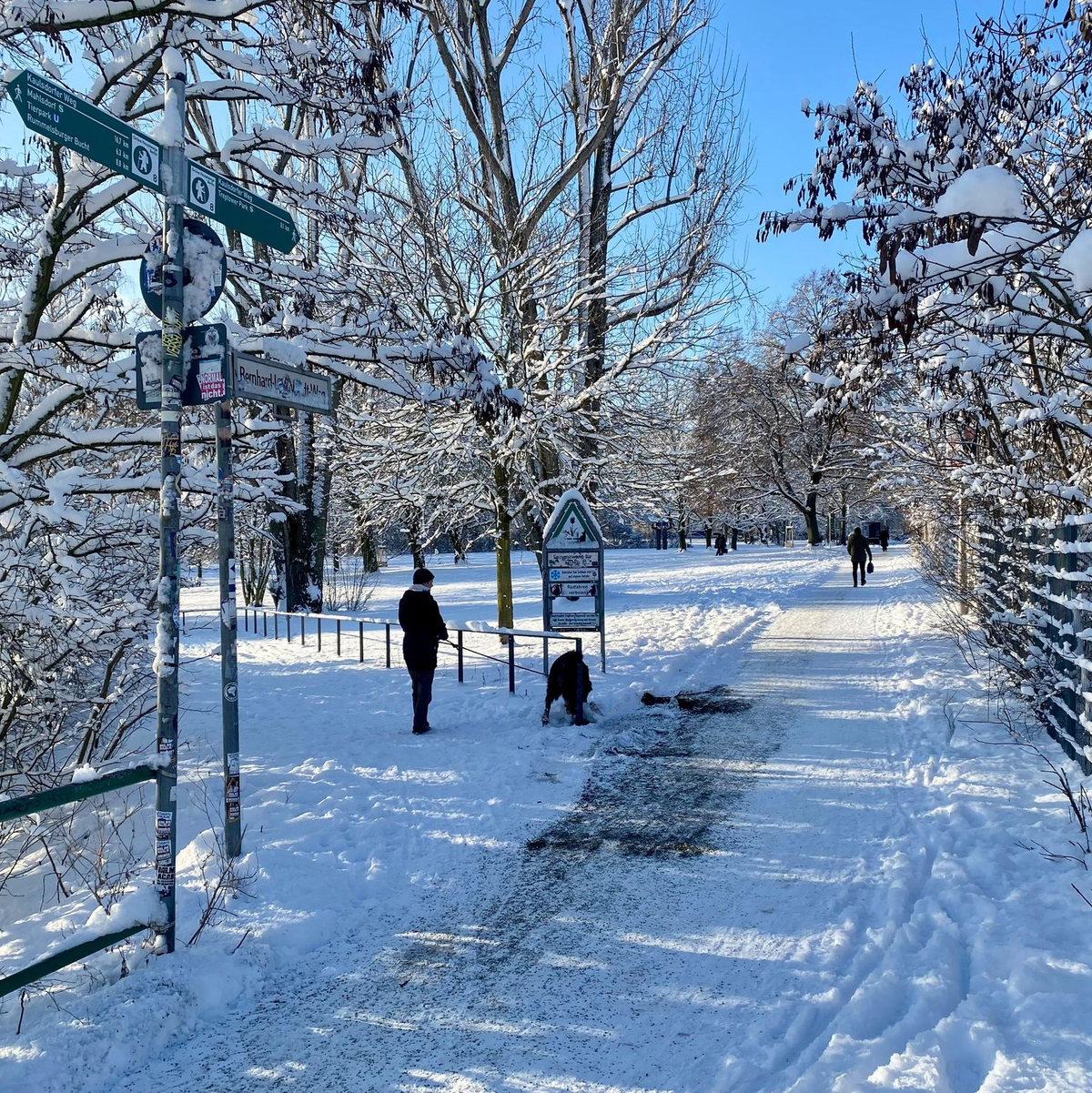 Spaziergänger genossen die weiße Landschaft. - Foto: Anja Mia Neumann/dpa