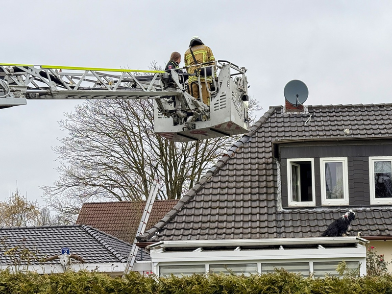 FW Osterholz-Scharm.: Hund auf Dach - Foto: presseportal.de