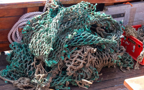 Diese Geisternetze wurden vor den ostfriesischen Inseln gefunden. Sie kommen aber in allen Meeren vor. (Archivbild) - Foto: Melissa Erichsen/dpa