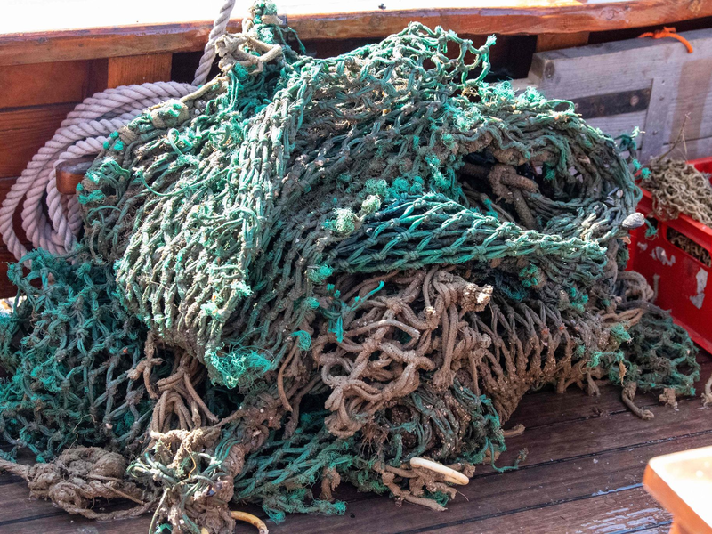 Diese Geisternetze wurden vor den ostfriesischen Inseln gefunden. Sie kommen aber in allen Meeren vor. (Archivbild) - Foto: Melissa Erichsen/dpa
