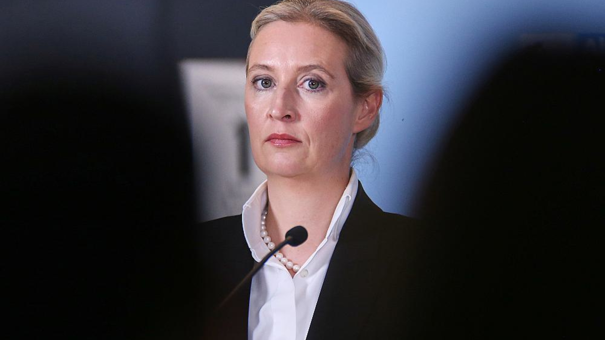 Alice Weidel (Archiv) - Foto: über dts Nachrichtenagentur