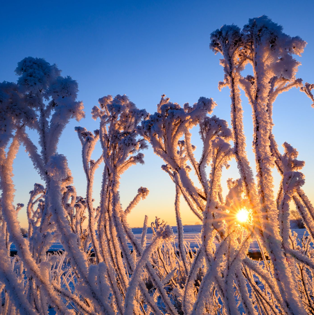 An diesem Morgen zeigte das Thermometer in einigen Teilen des Landes tiefe Minusgrade an. - Foto: Patrick Pleul/dpa