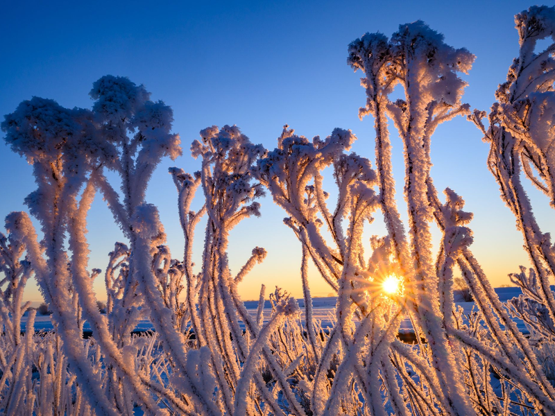 An diesem Morgen zeigte das Thermometer in einigen Teilen des Landes tiefe Minusgrade an. - Foto: Patrick Pleul/dpa