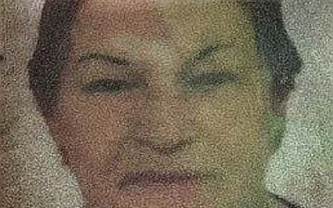 POL-GI: Nidda: Suche nach vermisster 71-Jähriger aus Bad Salzhausen - Foto: presseportal.de