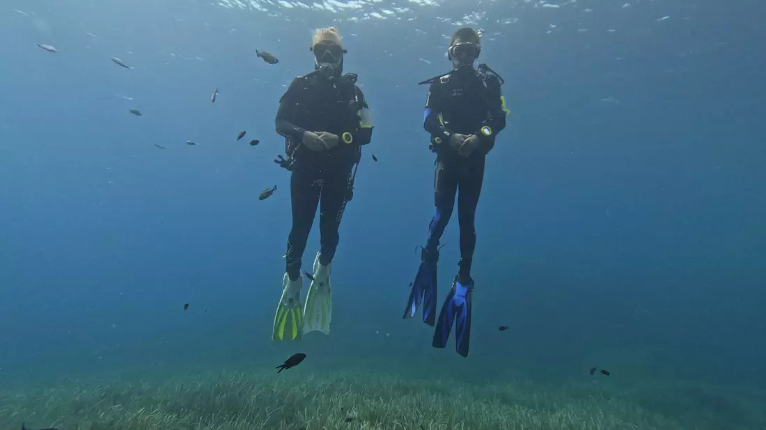 Die Fische scheinen Taucher anhand von Farbmerkmalen ihrer Ausrüstung zu erkennen. - Bild: -/Behavioural Evolution Lab /Max Planck Institute of Animal Behavior/dpa