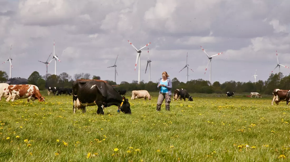 Arla Foods mit starkem Finanzergebnis im Jahr 2024 - Bild: presseportal.de