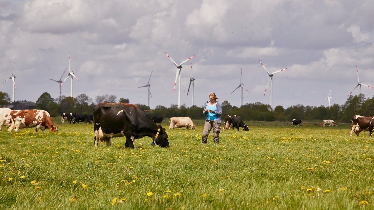 Arla Foods mit starkem Finanzergebnis im Jahr 2024 - Foto: presseportal.de