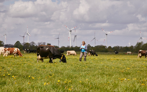 Arla Foods mit starkem Finanzergebnis im Jahr 2024 - Foto: presseportal.de