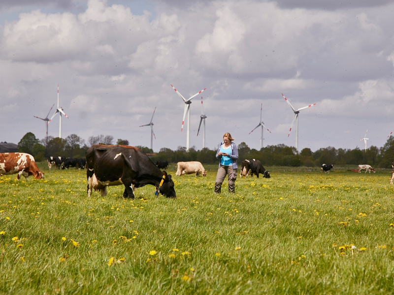 Arla Foods mit starkem Finanzergebnis im Jahr 2024 - Foto: presseportal.de