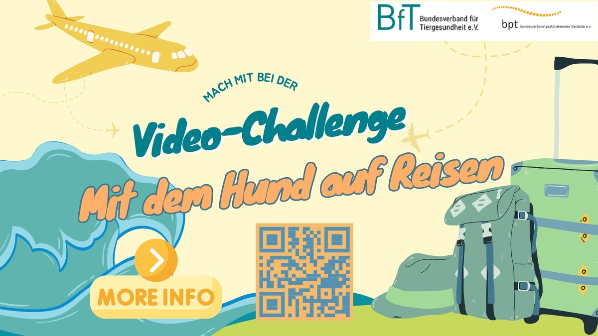 BfT und bpt starten neue Video-Challenge: Rundum geschützt - Mit dem Hund auf Reisen - Foto: presseportal.de