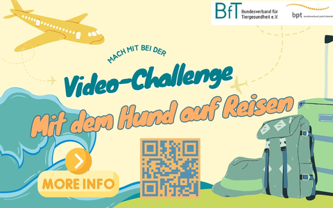 BfT und bpt starten neue Video-Challenge: Rundum geschützt - Mit dem Hund auf Reisen - Foto: presseportal.de