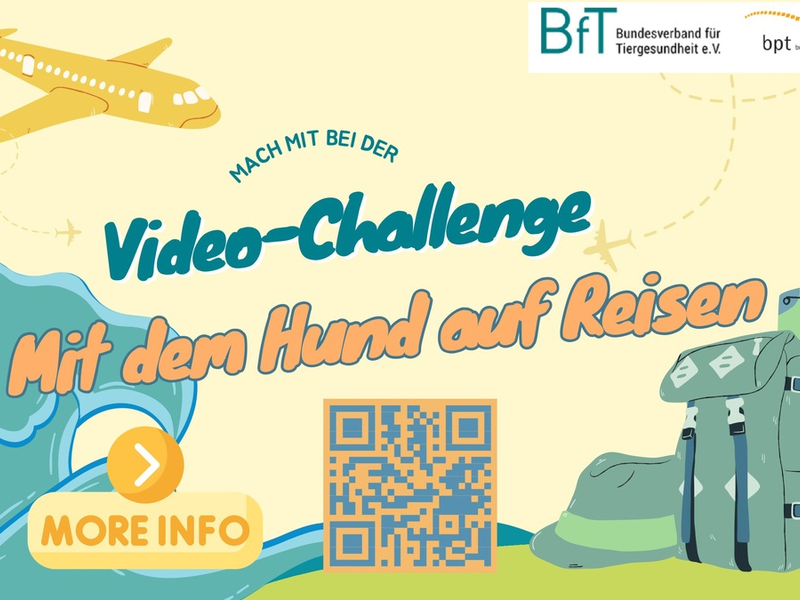BfT und bpt starten neue Video-Challenge: Rundum geschützt - Mit dem Hund auf Reisen - Foto: presseportal.de